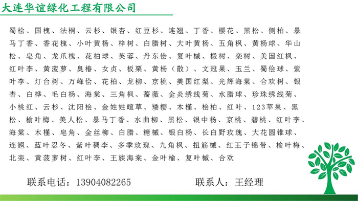 绿化树苗种类